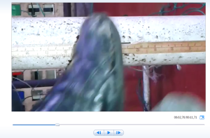 Salto 1
